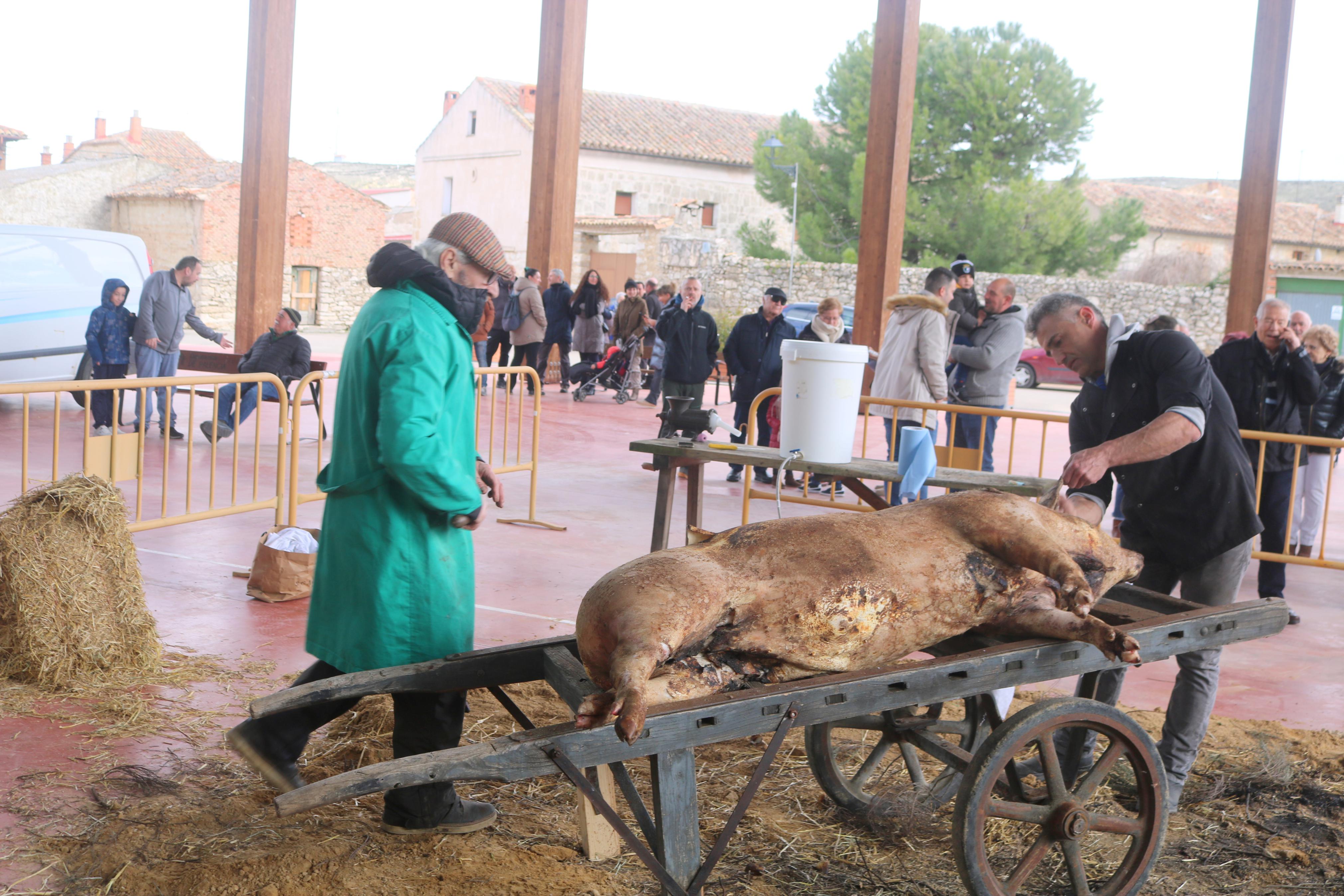 IV Jornada de la Matanza en Herrera de Valdecañas