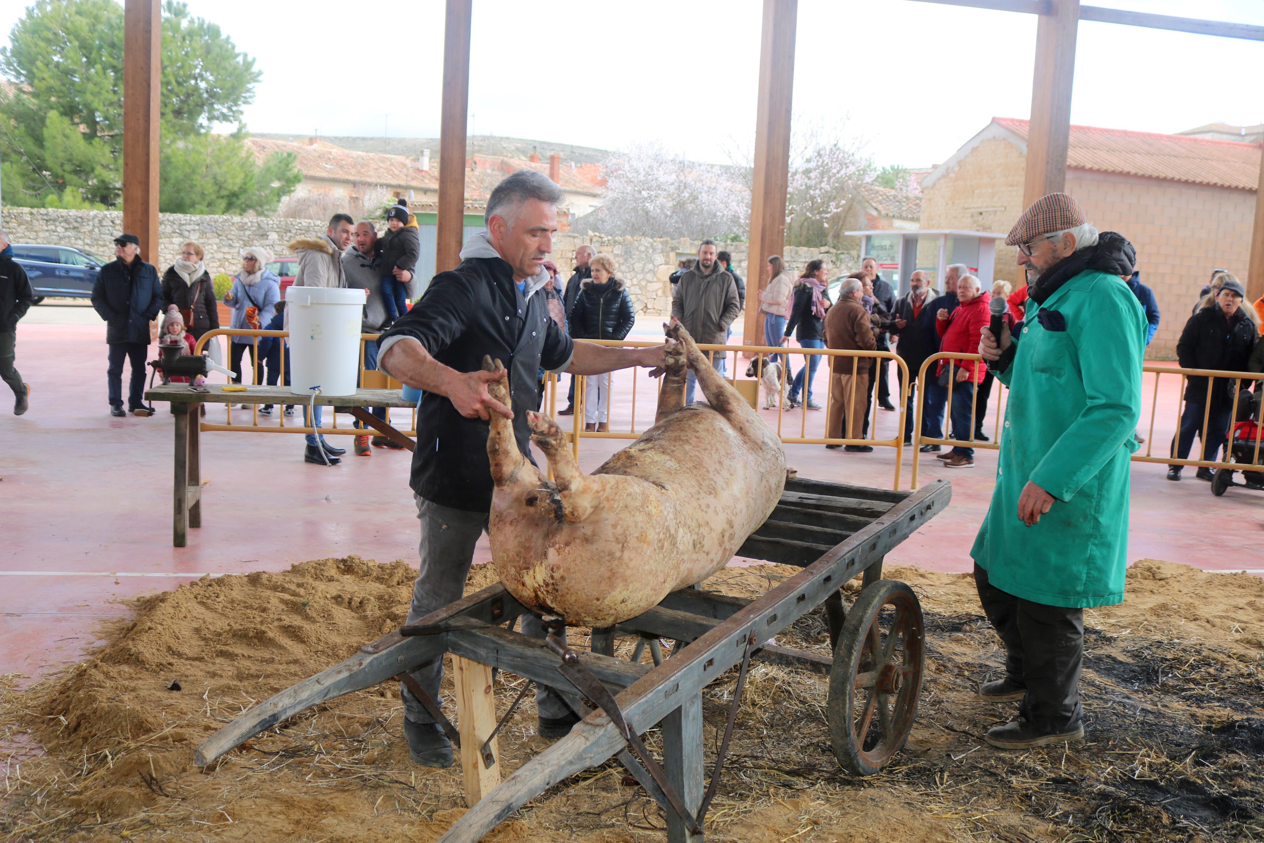 IV Jornada de la Matanza en Herrera de Valdecañas