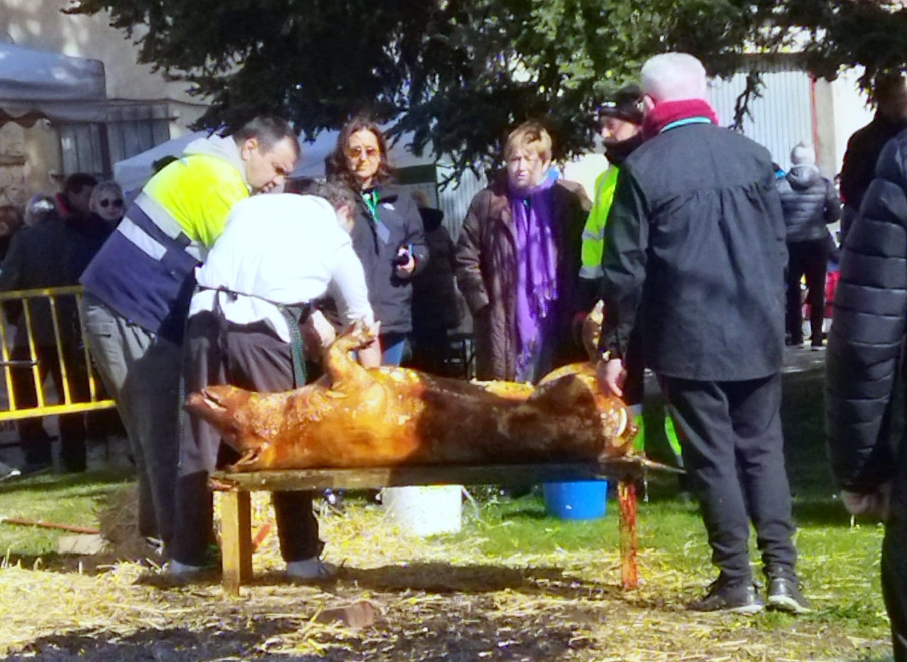 XVI Fiesta de la Matanza en Baños de Cerrato