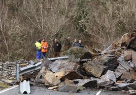 Derrumbe en la carretera de acceso a la localidad de Fornela (León)