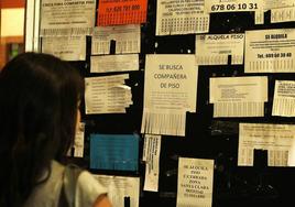 Carteles en los paneles de un centro de la UVA que anuncian pisos para alquilar o compartir