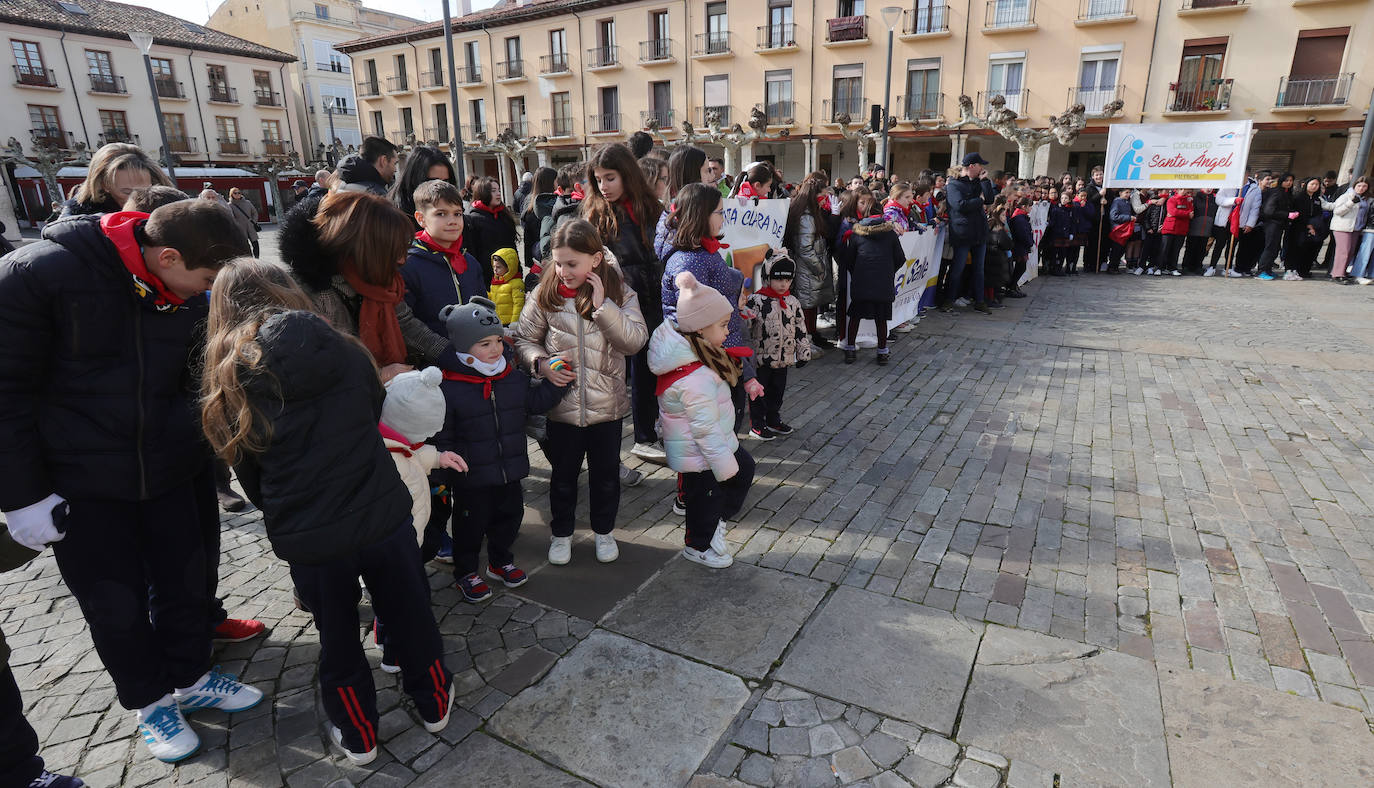 Palencia celebra el Día de Escuelas Católicas