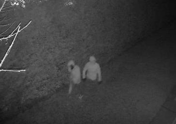 Huyen de la Policía tras asaltar otro chalé en Fuente Berrocal