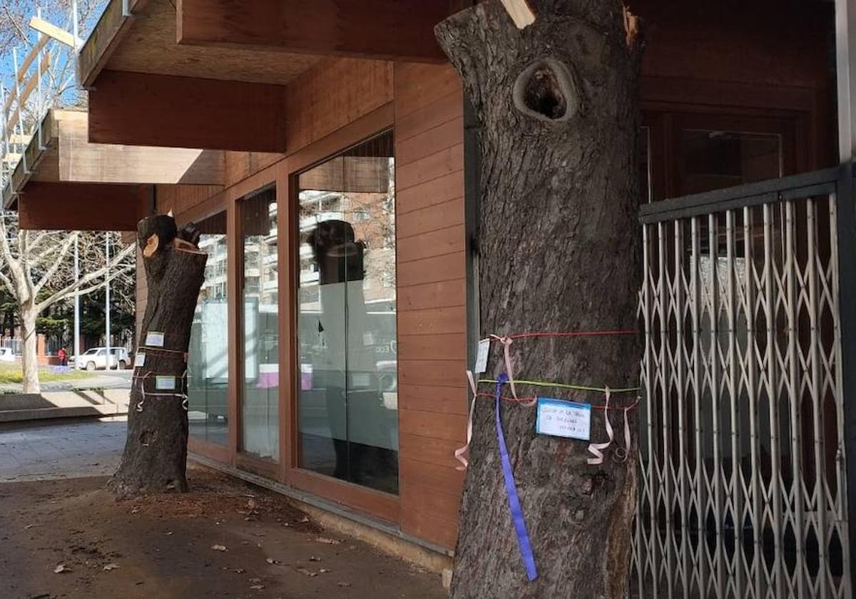 El Ayuntamiento aclara que los árboles del Salón no se talan por la obra de la cafetería