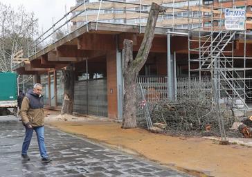 La Plataforma del Arbolado y el Ayuntamiento reabren las hostilidades