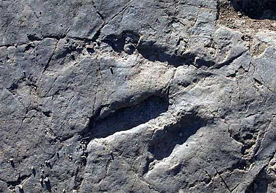 Icnita en Villar del Río