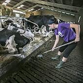 Las mujeres cobran una media de 4.200 euros menos al año que los hombres