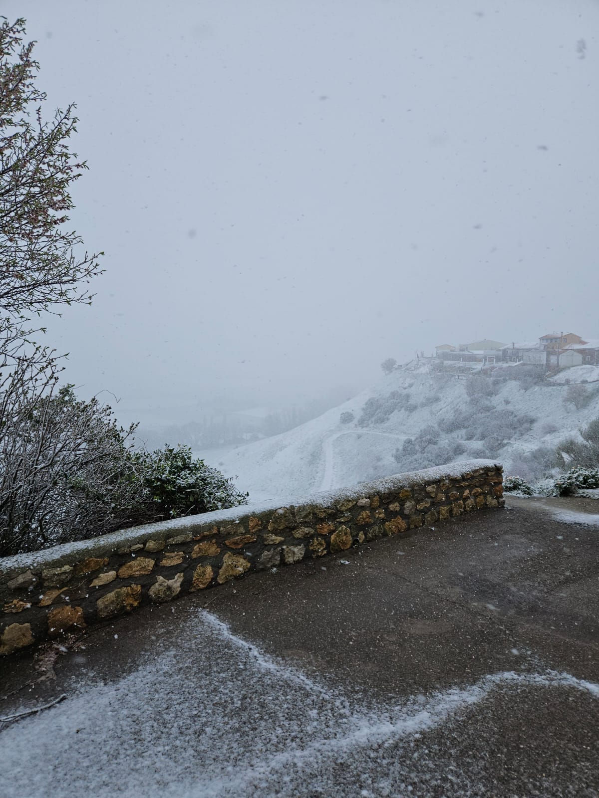 La provincia de Valladolid cubierta de nieve, en imágenes