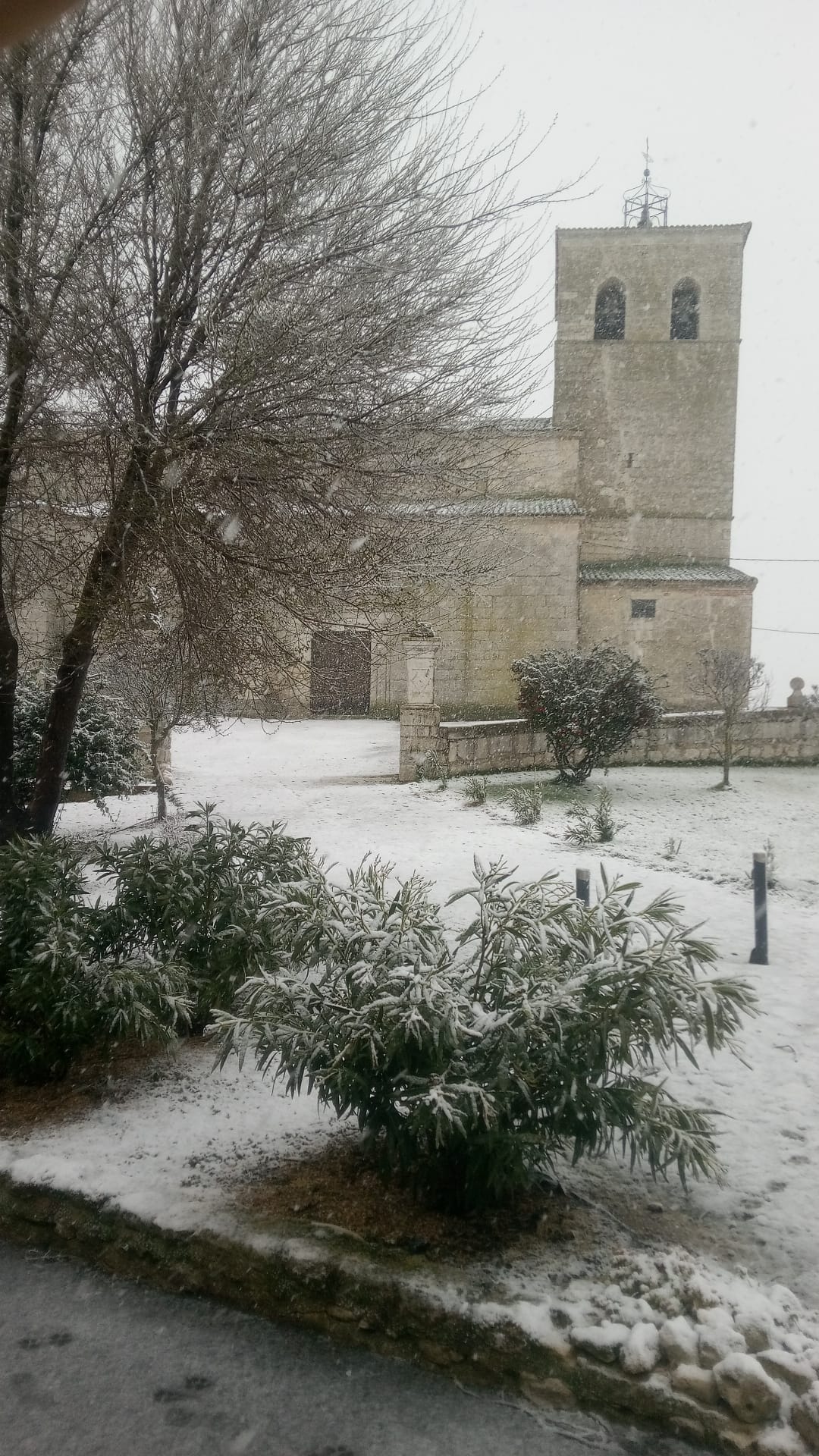 La provincia de Valladolid cubierta de nieve, en imágenes