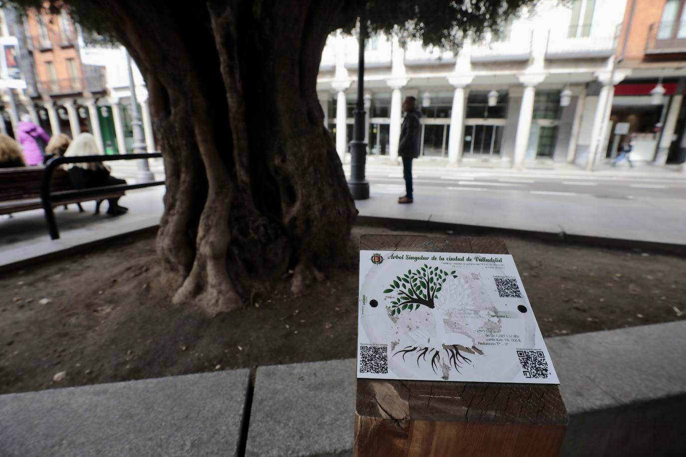 Un paseo en imágenes por la plaza de Fuente Dorada