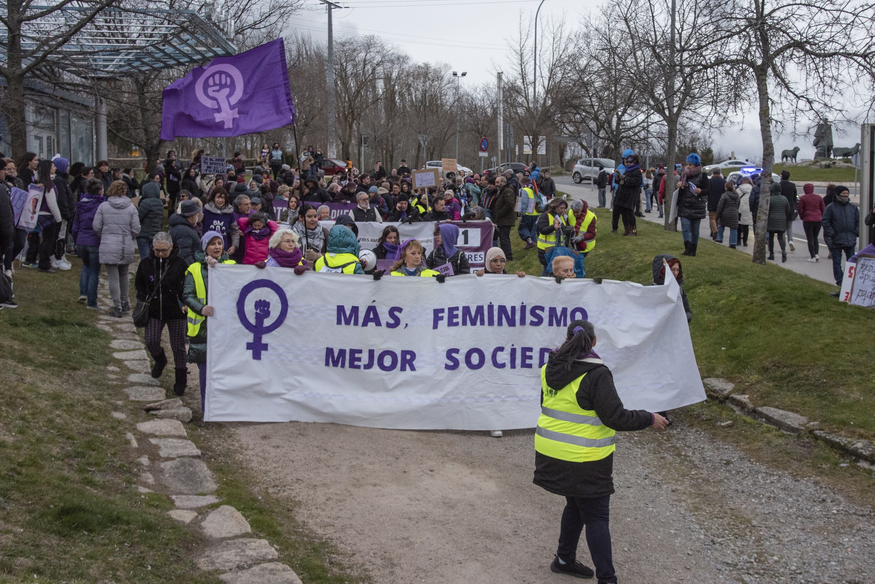 La manifestación del 8M en Segovia, en imágenes