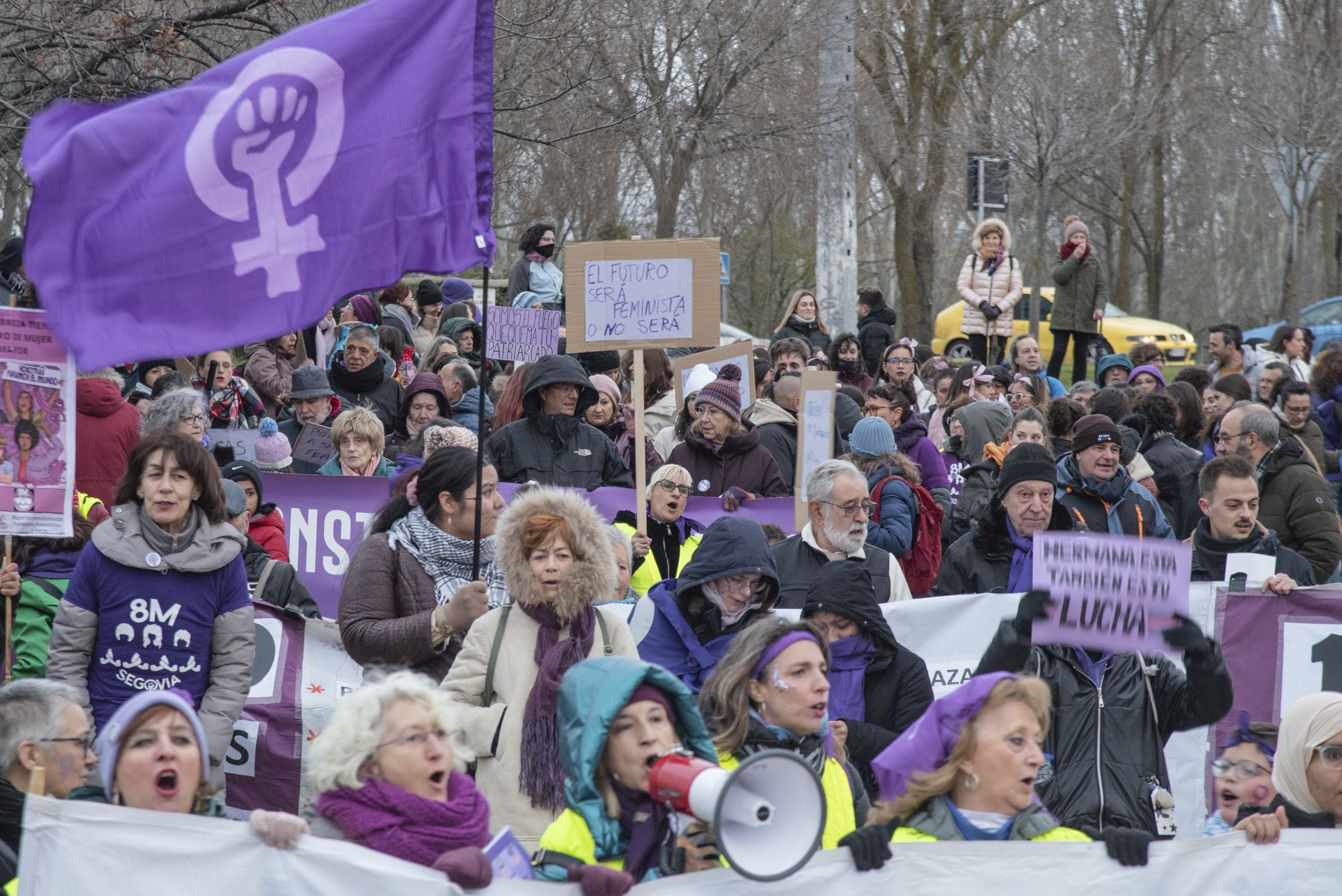 La manifestación del 8M en Segovia, en imágenes