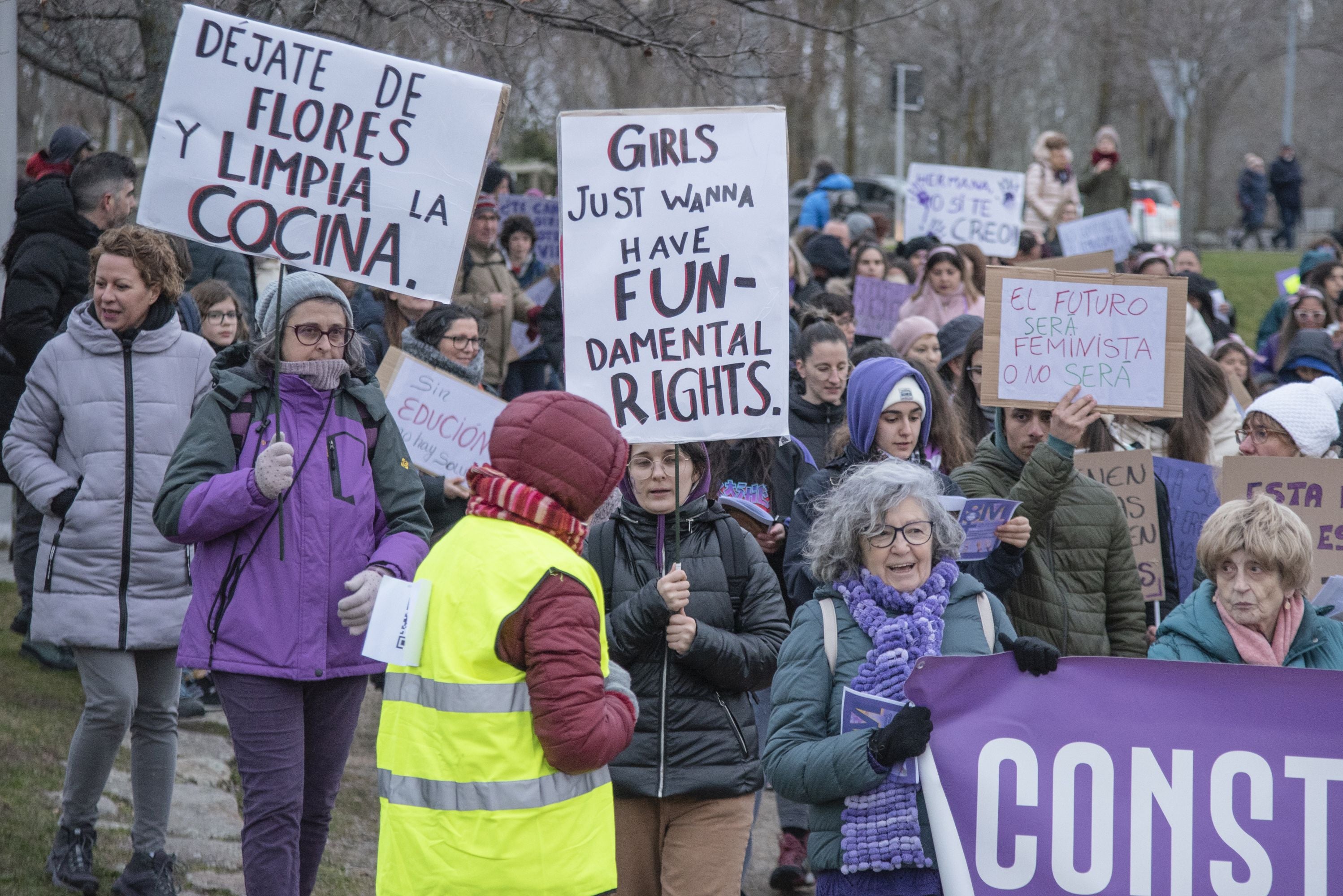 La manifestación del 8M en Segovia, en imágenes