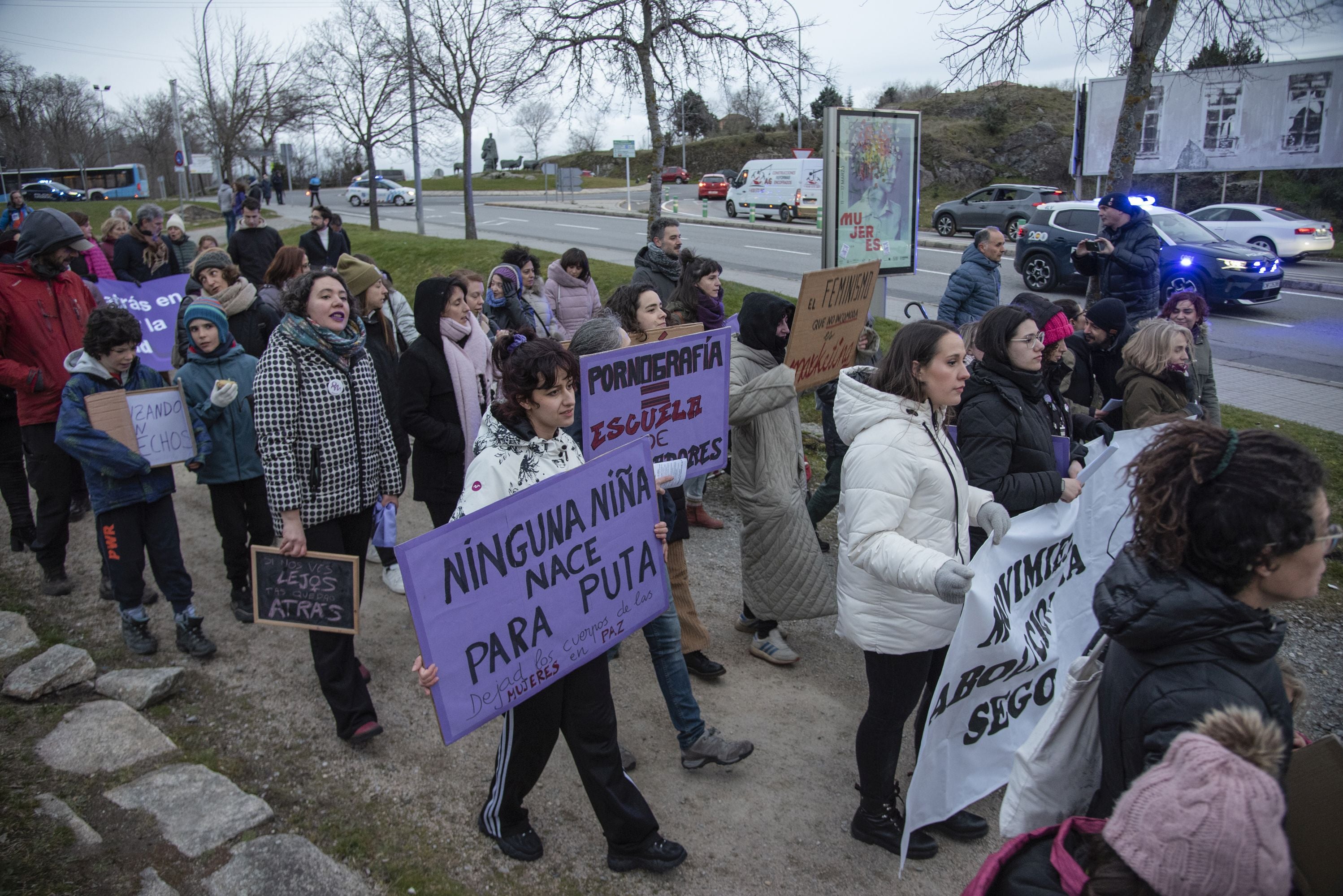 La manifestación del 8M en Segovia, en imágenes