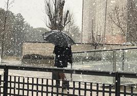 Temporal de nieve en Valladolid.