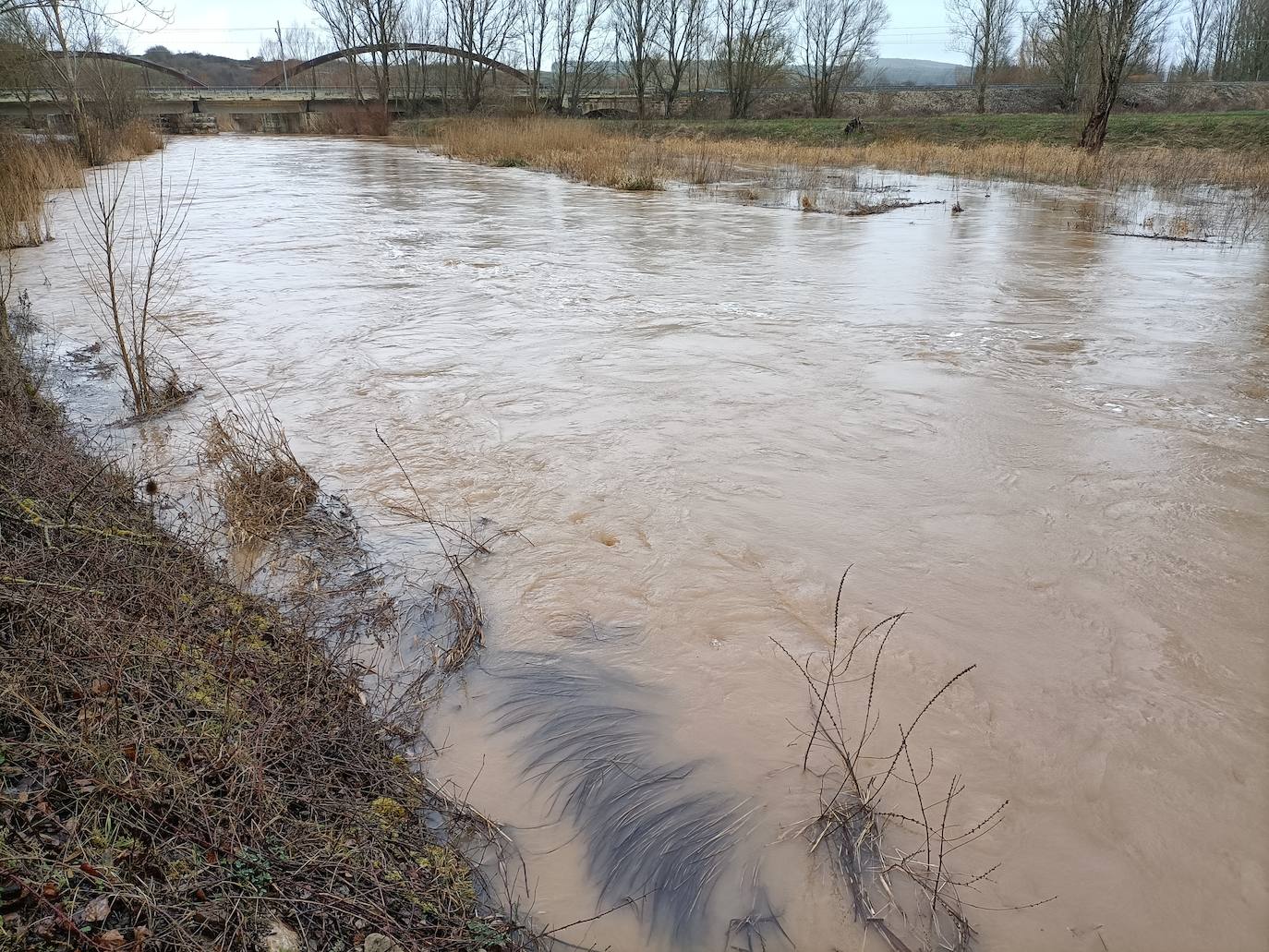 Alerta por la crecida de los ríos en Palencia