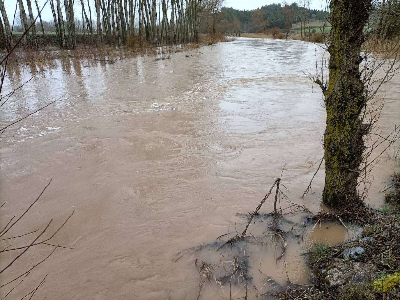 Alerta por la crecida de los ríos en Palencia