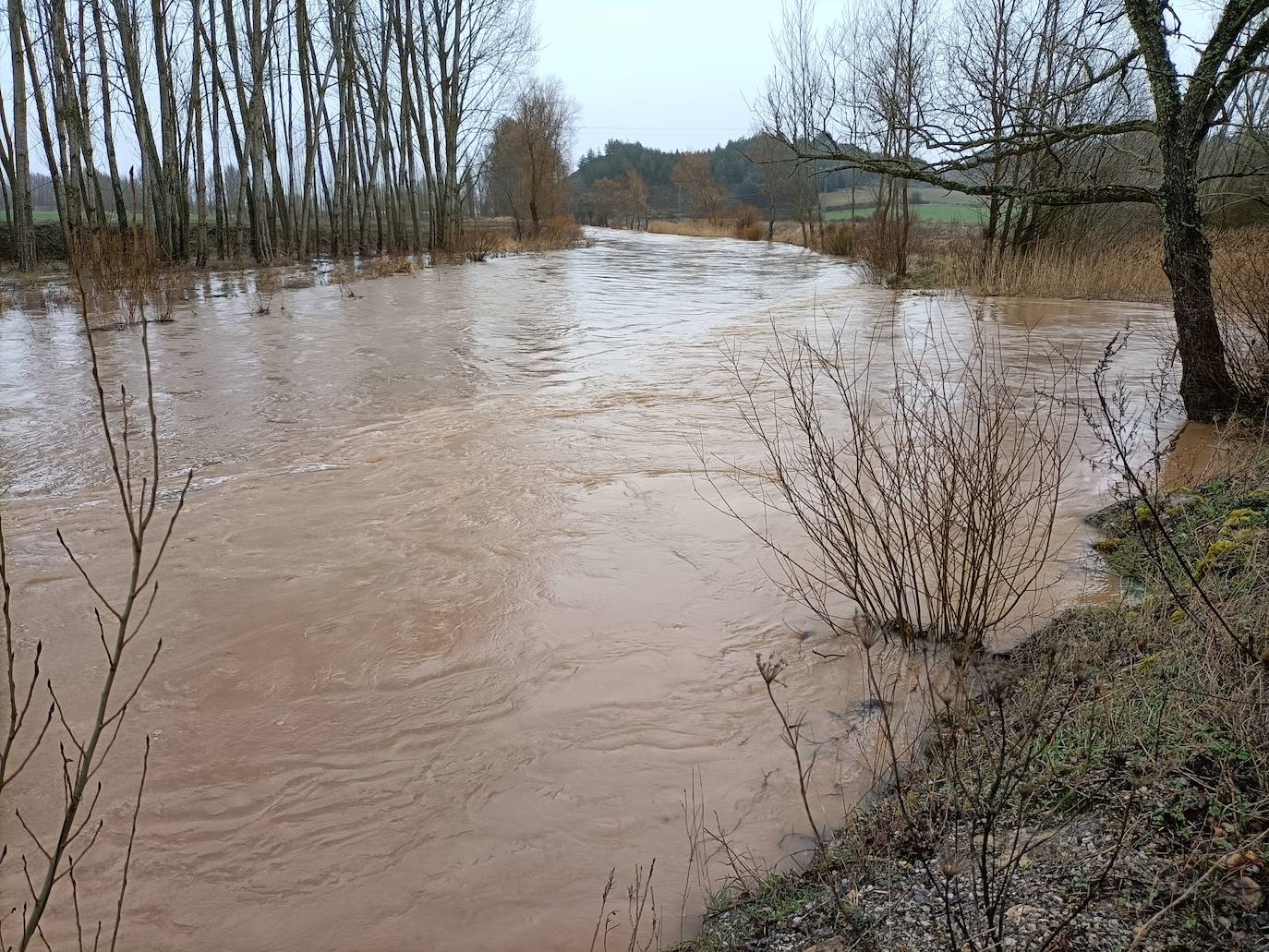 Alerta por la crecida de los ríos en Palencia