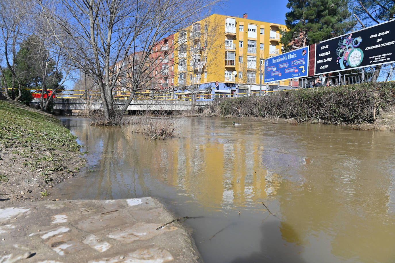 Río Esgueva a la altura del Paseo de Juan Carlos I.