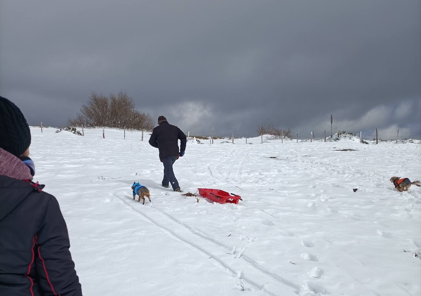 La nieve ha sido el gran atractivo turístico de Brañosera