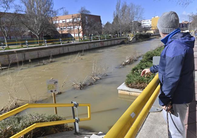 Crecida del Esgueva a su paso por Pilarica, en el paseo del Cauce.