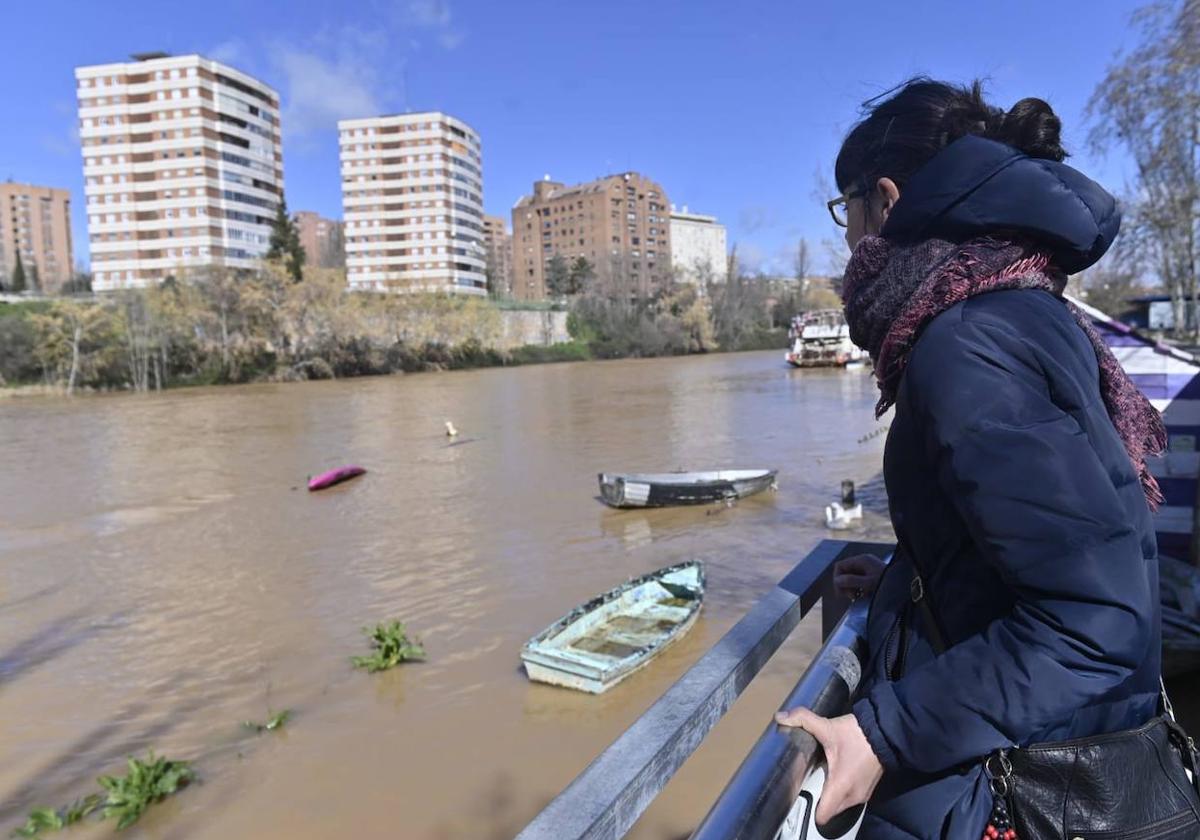 Una mujer observa la crecida del Pisuerga en Poniente, donde cubre sus paseos inferiores.