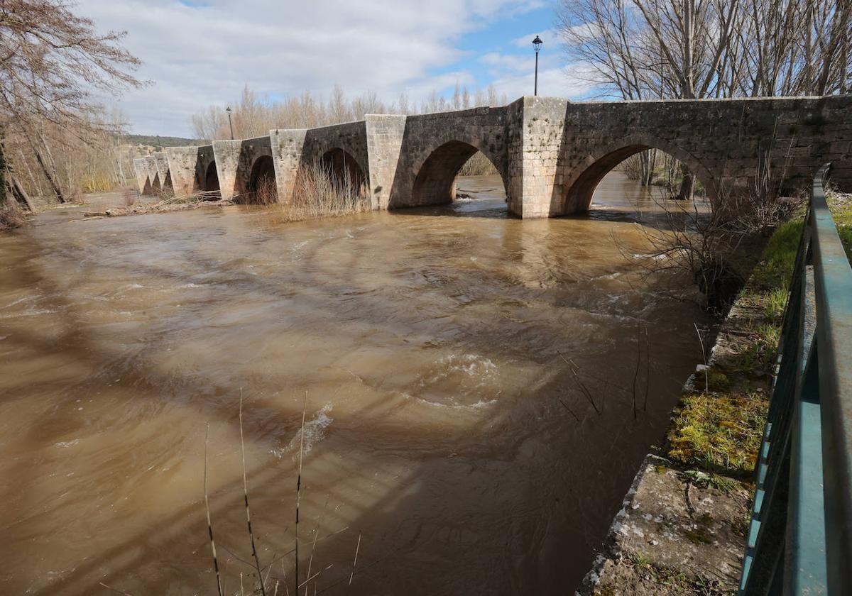 El río Pisuerga, ayer a su paso por Quintana del Puente.