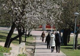 Vallisoletanos pasean por una zona verde de Parquesol.