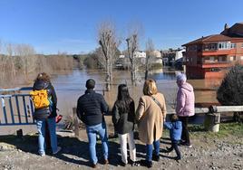 Vecinos de Viana presencian la riada del Cega a su paso por el municipio.