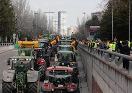 Tractorada por las calles de Valladolid el pasado 14 de febrero.