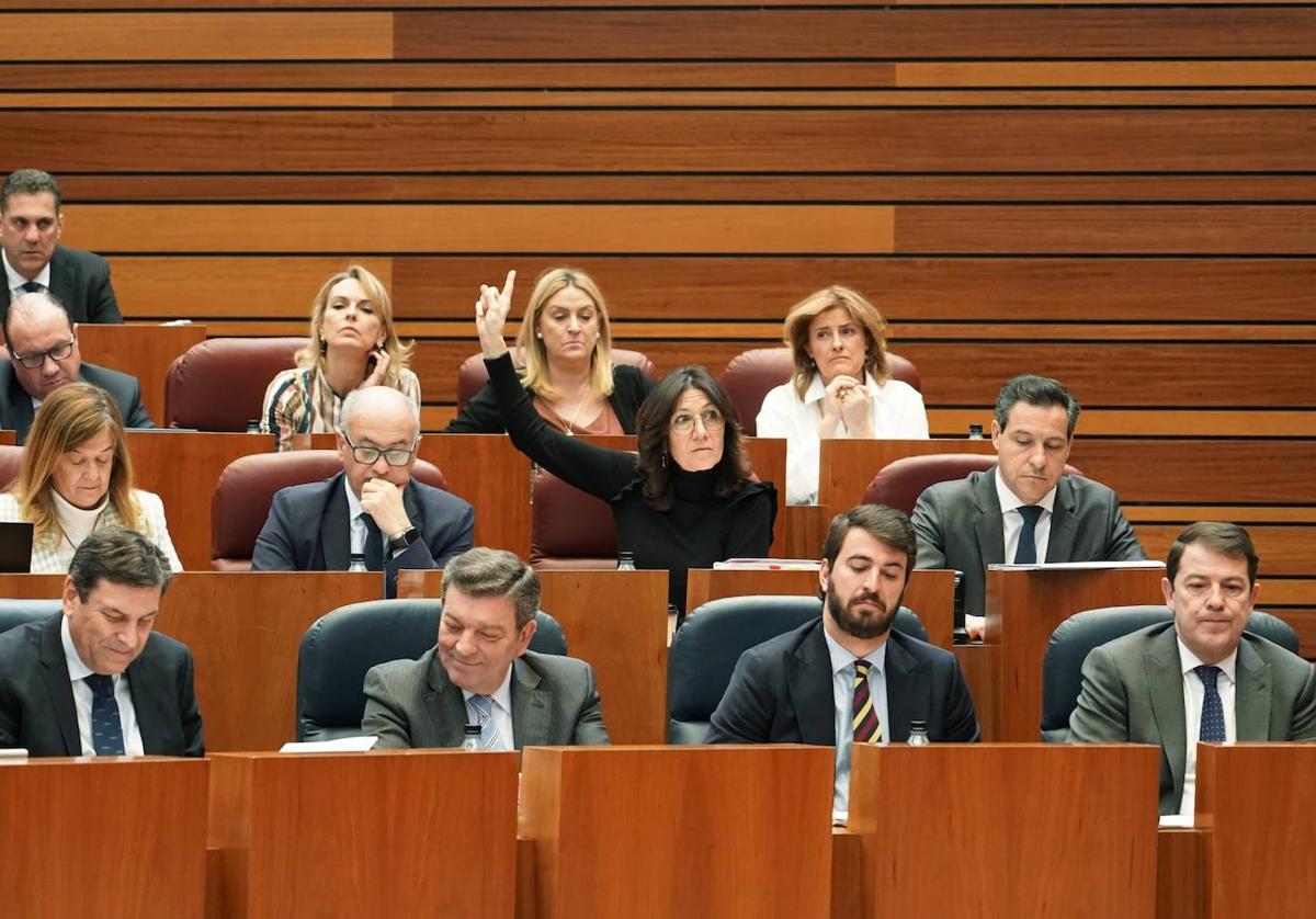 Mañueco y García-Gallardo, durante la votación del proyecto de ley del Juego.