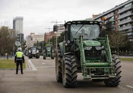 Tractores llegados de la zona este de la provincia recorriendo la avenida de Salamanca en dirección al estadio José Zorrilla.