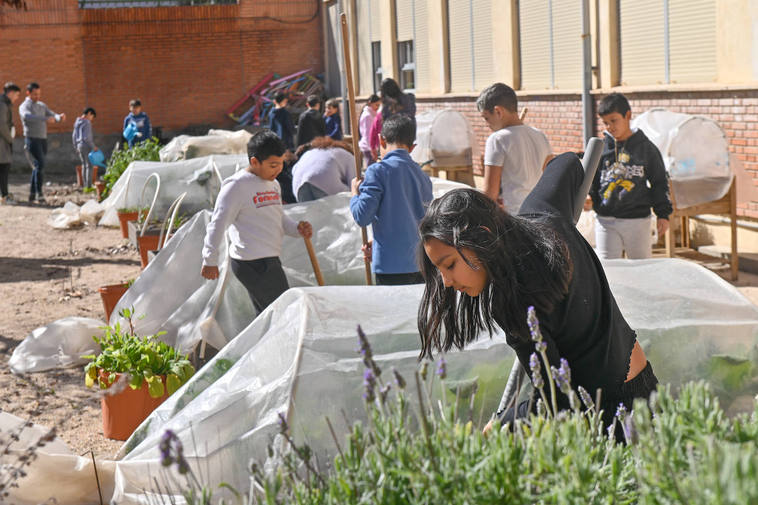 Varios alumnos del colegio Cristóbal Colón trabajan en la huerta del centro, uno de los proyectos educativos del centro educativo.