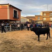 La cuarta suelta de El Tortillero reúne en Villalón a cientos de aficionados