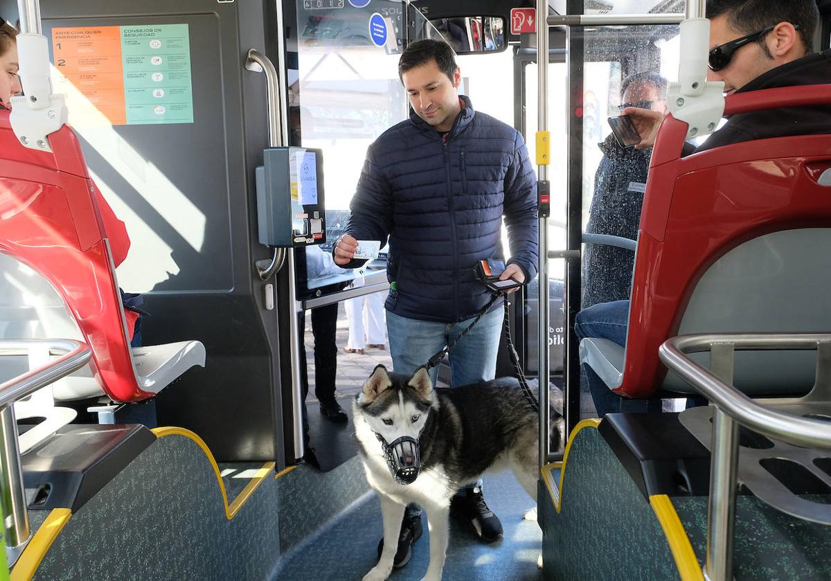 Horus, uno de los primeros perros que sacó su bonobús accede a un vehículo en Parquesol.