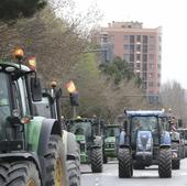 UCCL se suma a la tractorada de este viernes en Valladolid