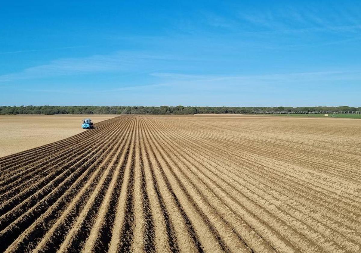 Un agricultor realiza labores de siembra en la provincia de Valladolid, esta semana.