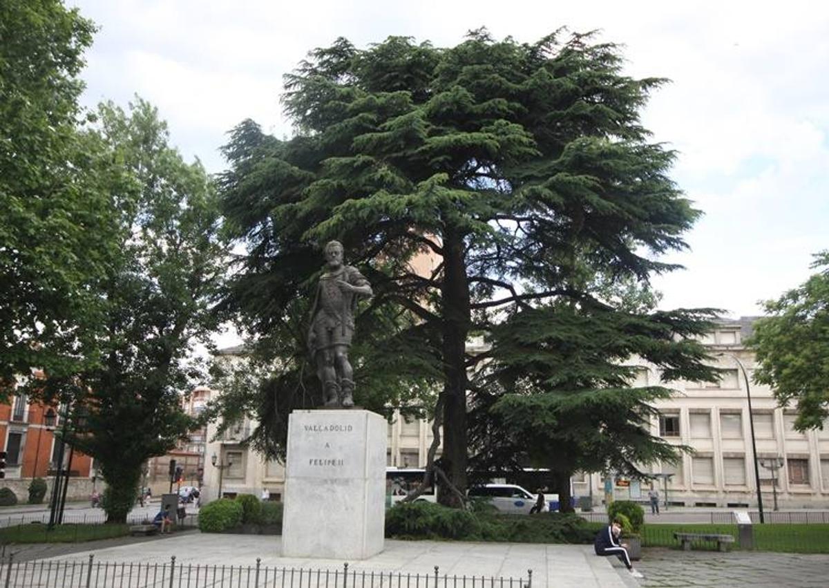 Imagen secundaria 1 - Cipreses en la trasera de la Catedral, cedro del Líbano la plaza de San Pablo y castaños de indias de la plaza de San Juan.