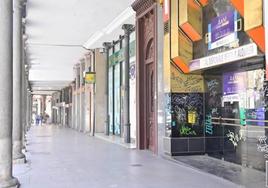 Zona comercial de la Plaza Fuente Dorada.