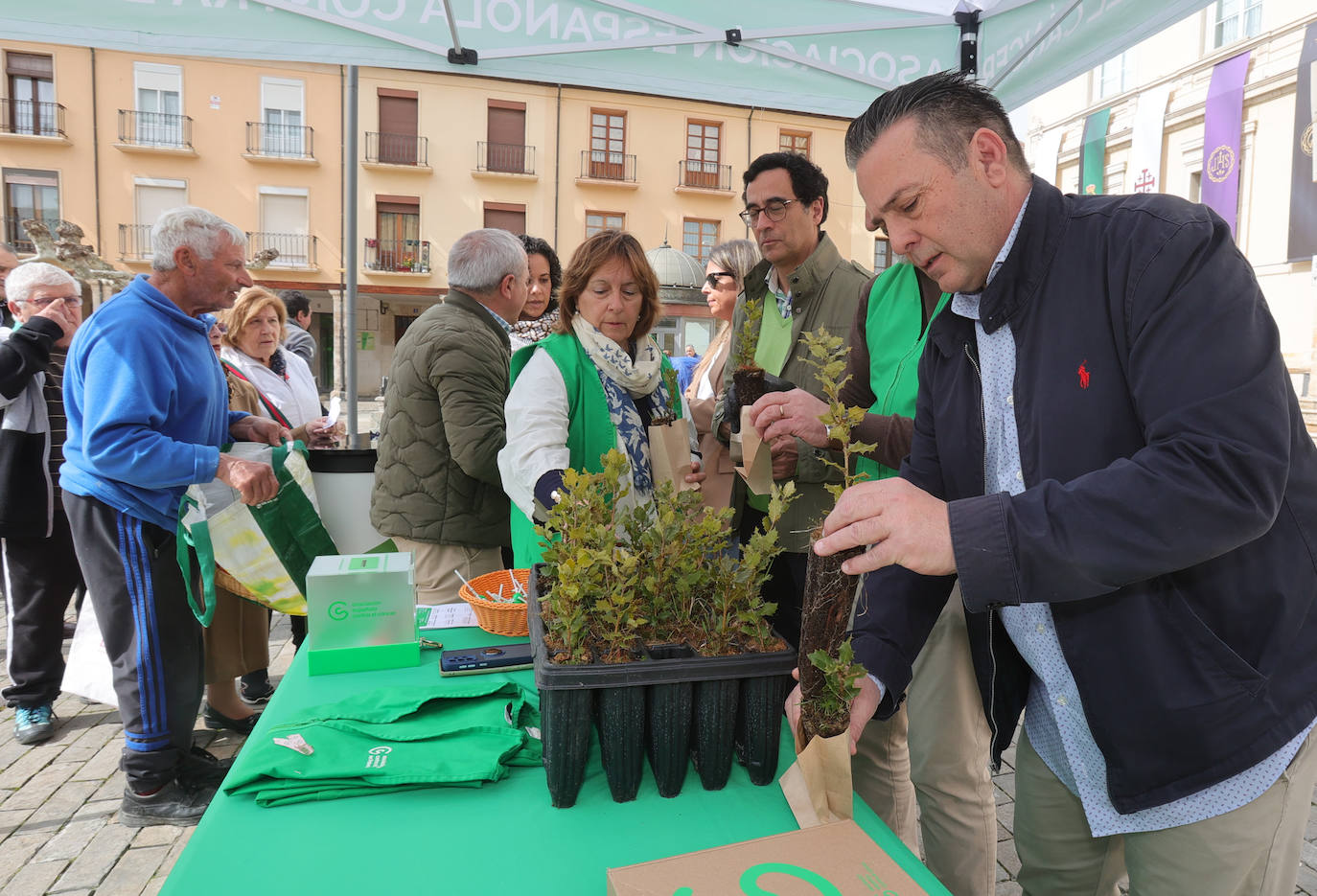 Un millar de ejemplares de árboles para mejorar el planeta en Palencia