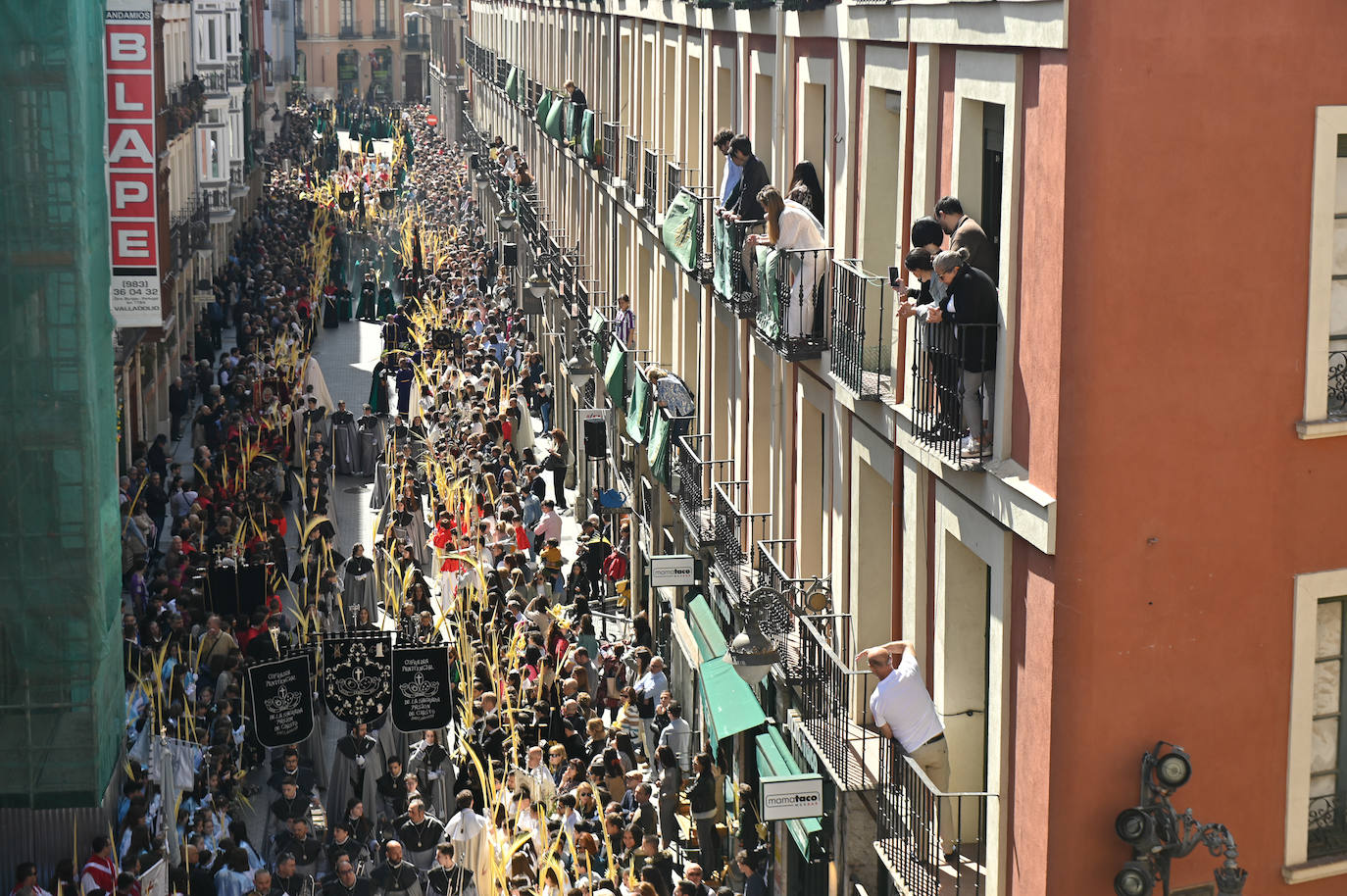 Procesión de La Borriquilla en Valladolid