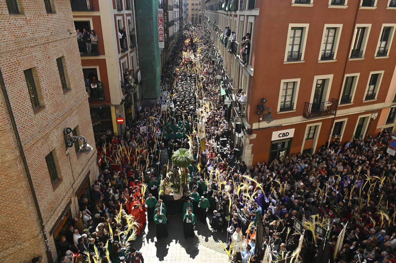 Procesión de La Borriquilla en Valladolid