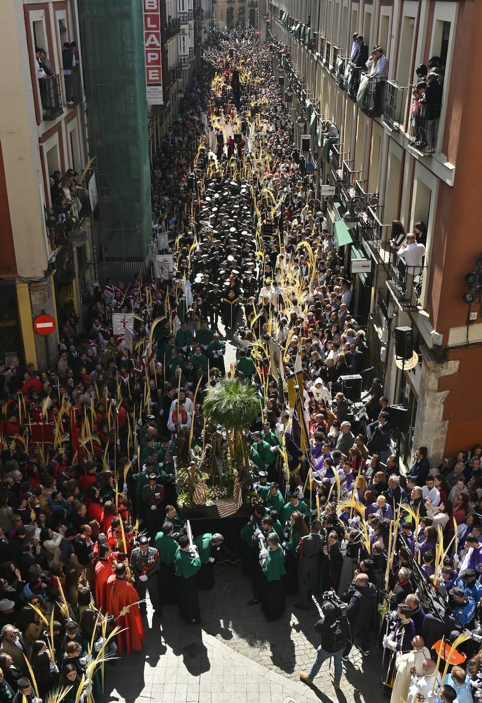 Procesión de La Borriquilla en Valladolid