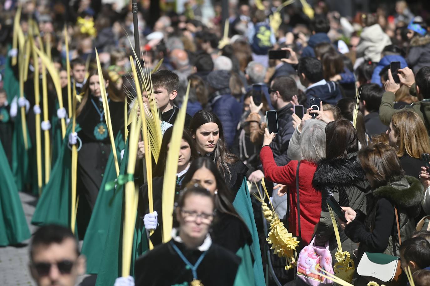 Procesión de La Borriquilla en Valladolid