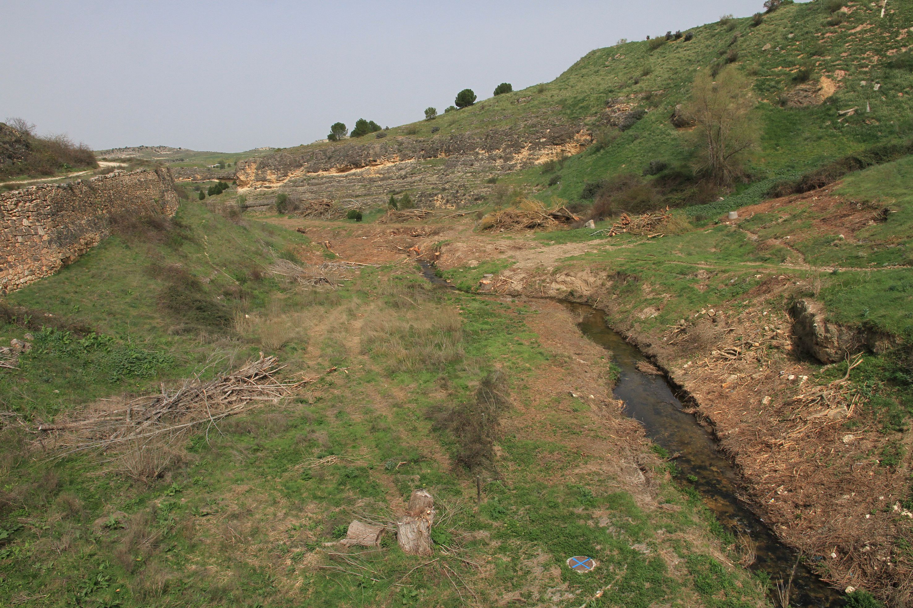 Así está el entorno del arroyo Tejadilla de Segovia