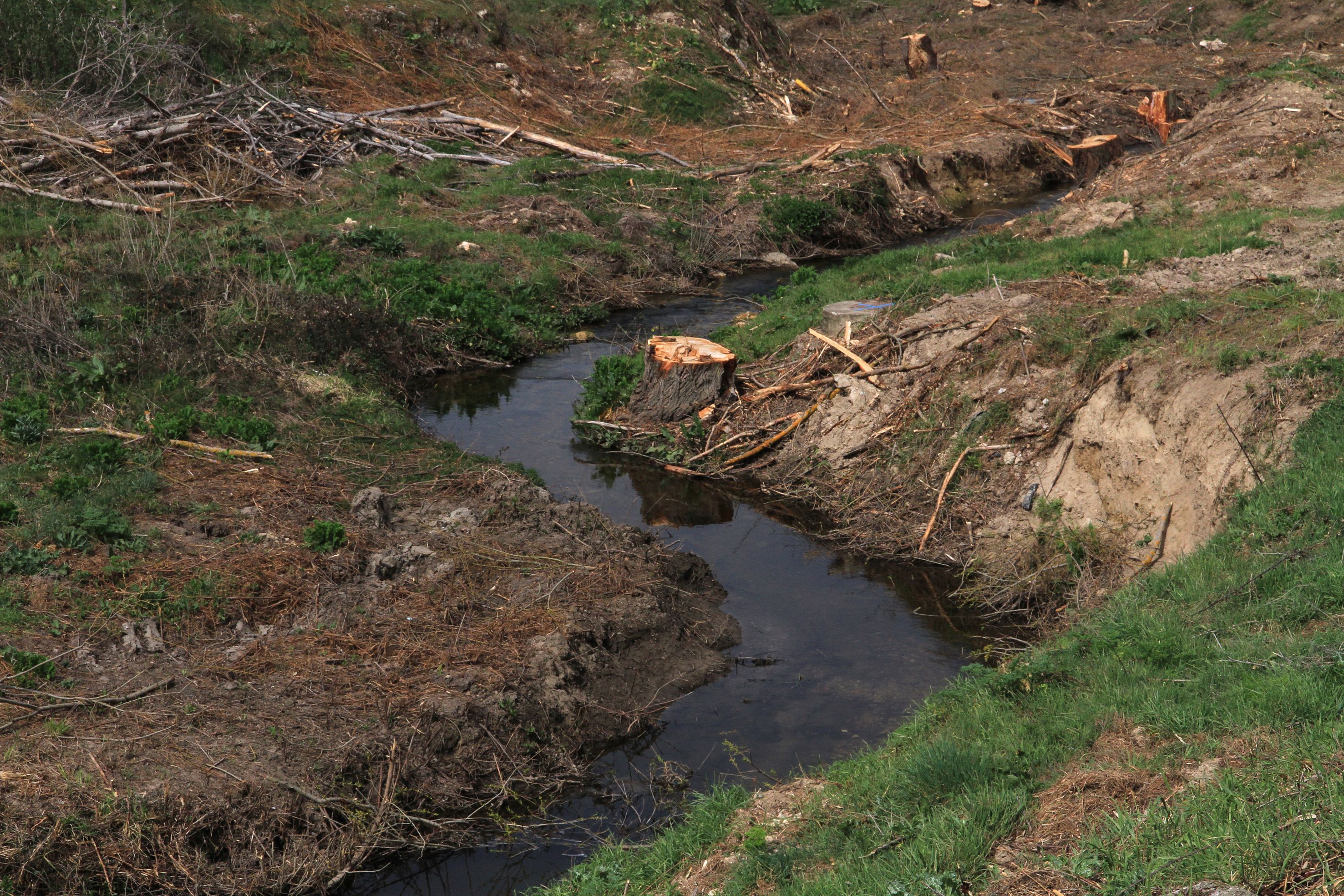 Así está el entorno del arroyo Tejadilla de Segovia