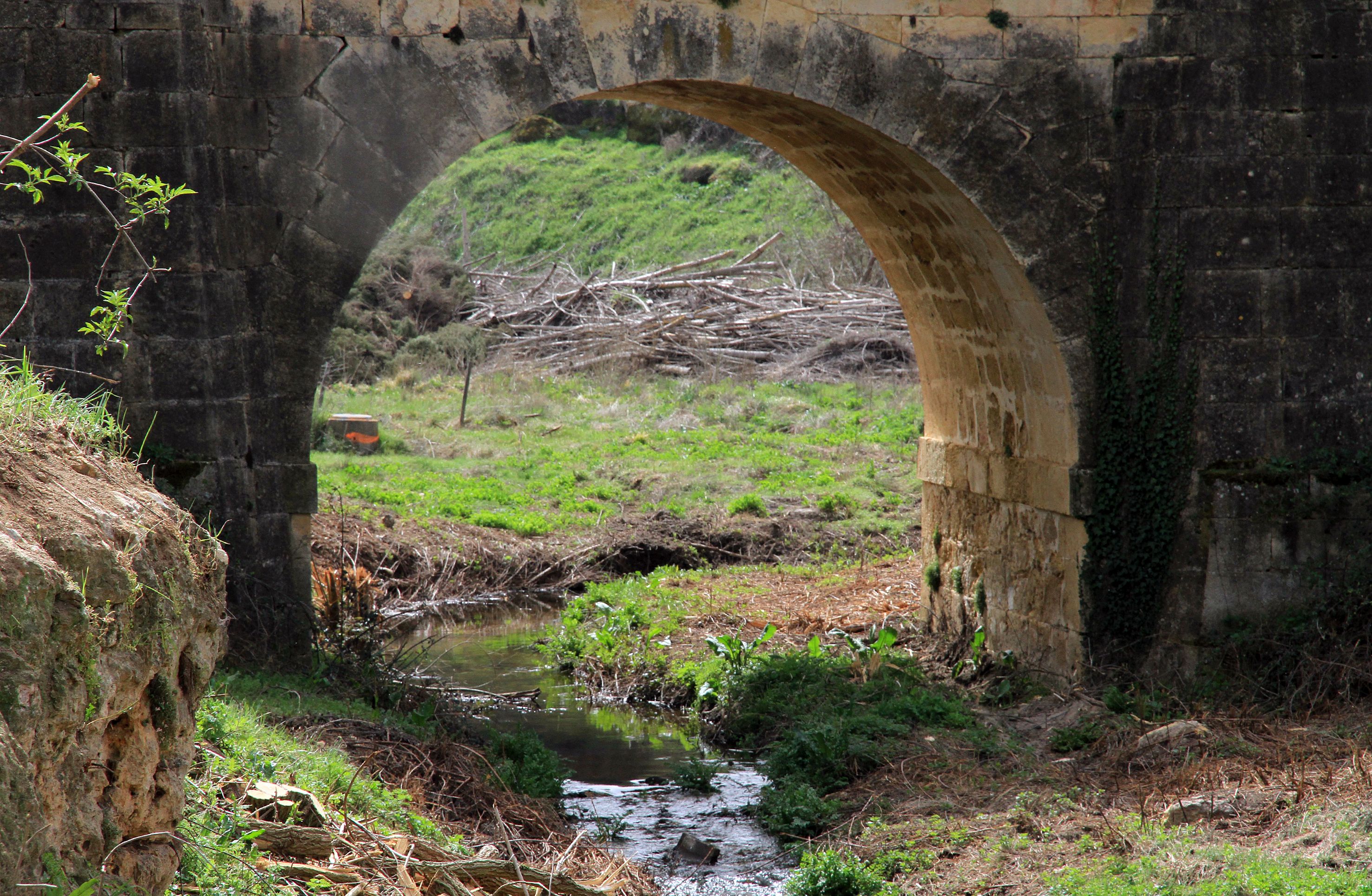 Así está el entorno del arroyo Tejadilla de Segovia