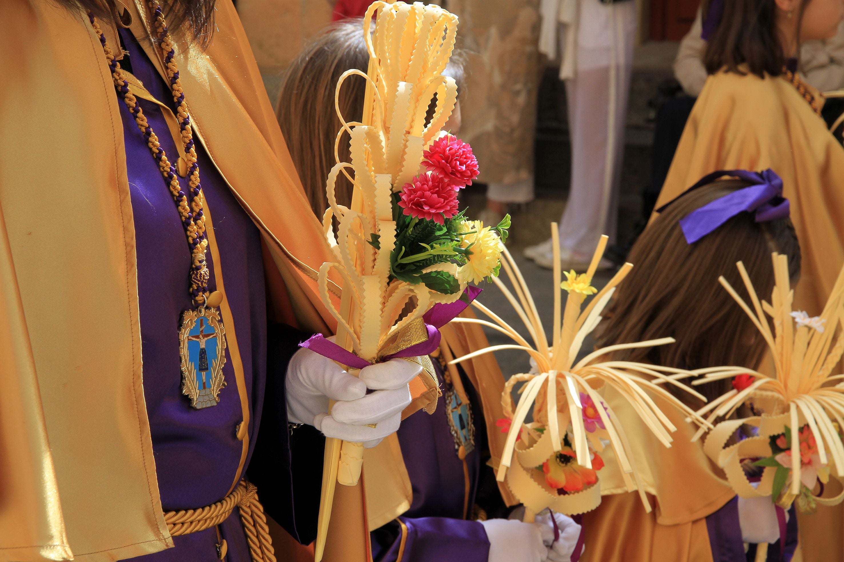 El Domingo de Ramos de Segovia, en imágenes