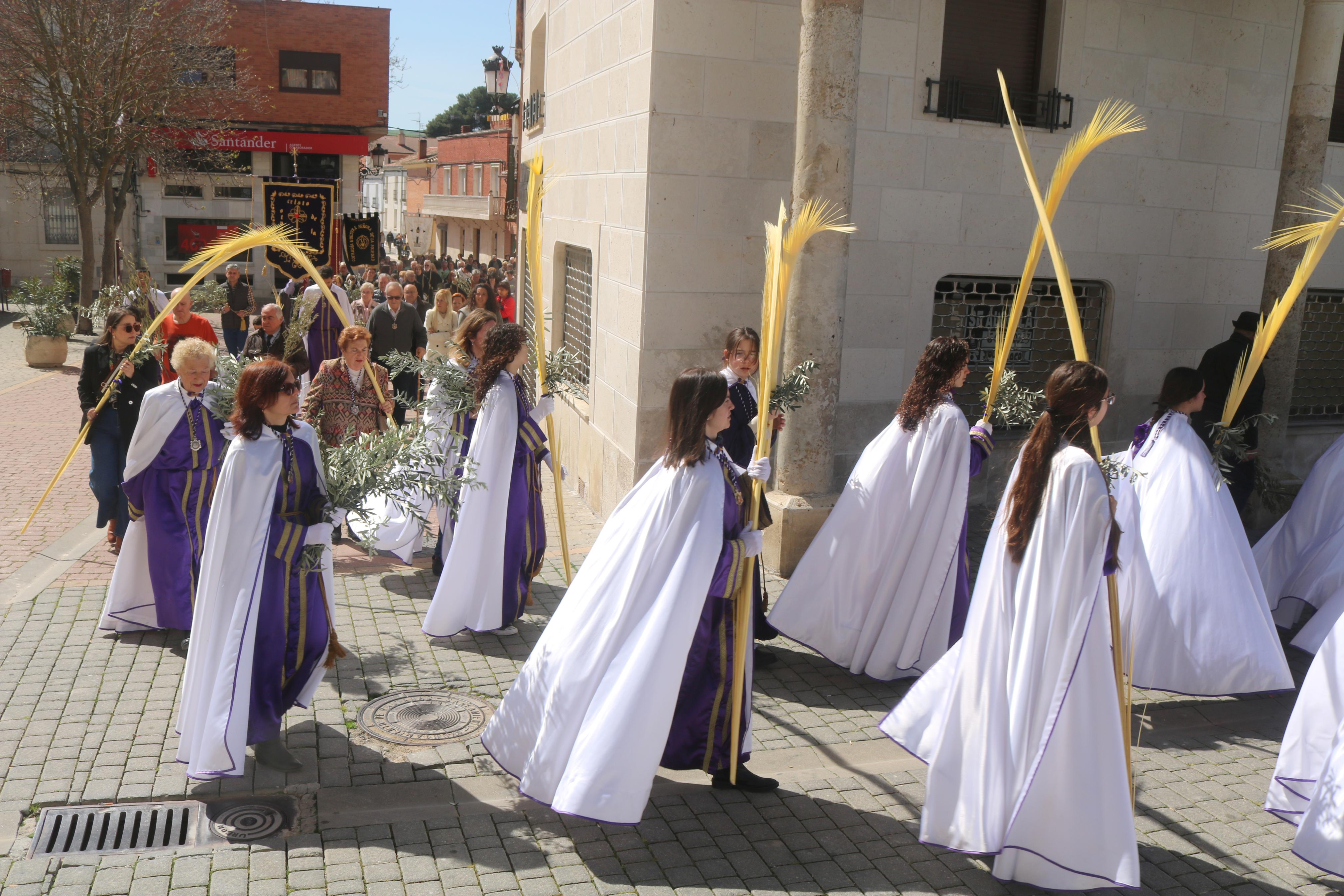 Domingo de Ramos en Baltanás