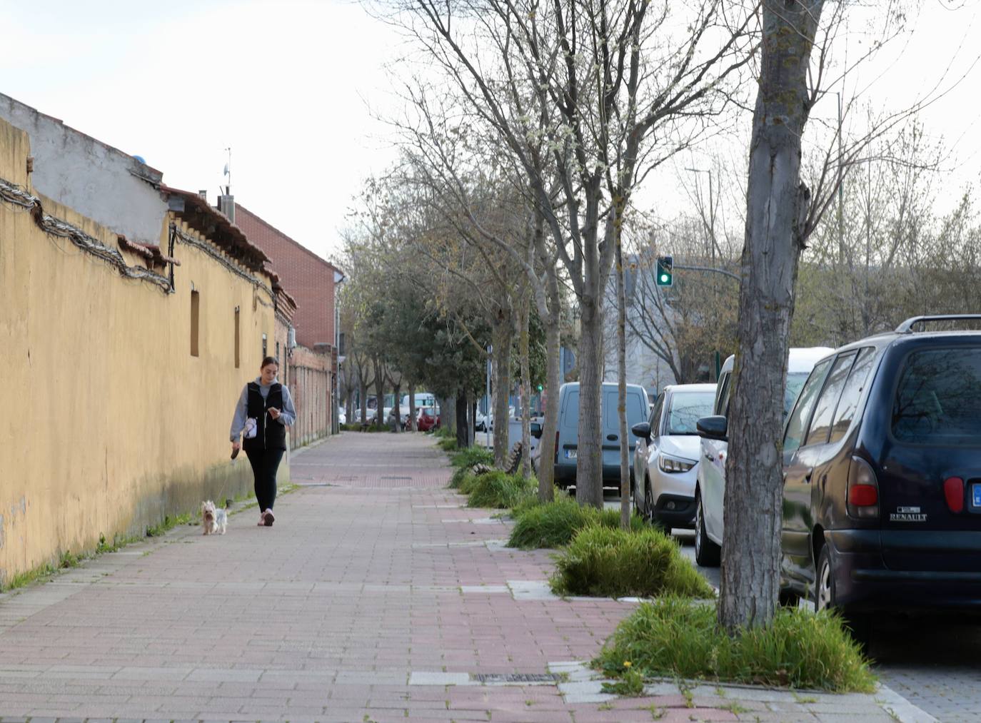 Recorrido en imágenes por la calle Valle de Arán